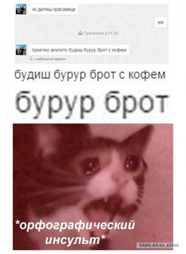 Весёлый полтишок 11.08.22