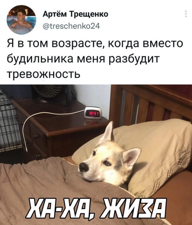 Картинки и мемы для настроения - 31