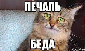 И это вы ждали 9 месяцев?