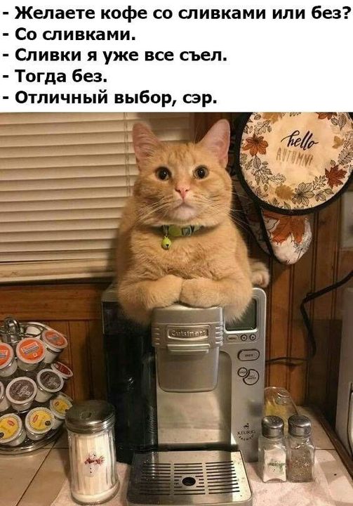 Немного картинок для настроения - 129