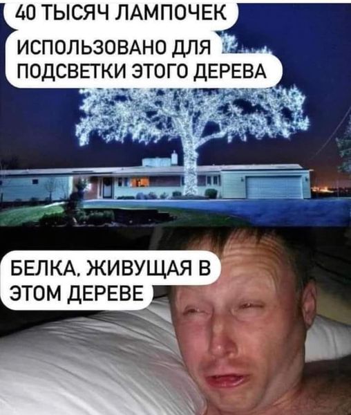Так себе картинки 07.11.22