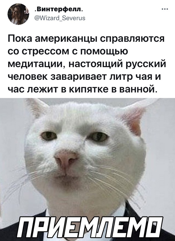 Картинки с надписями для поднятия настроения