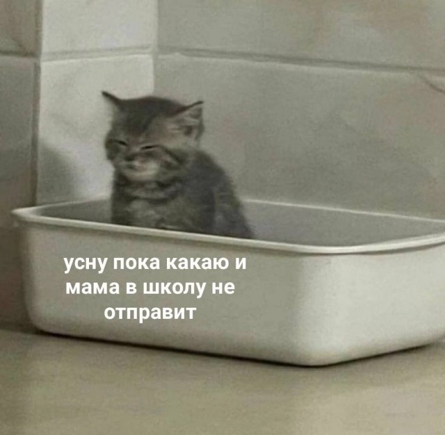 Картинки и мемы для настроения - 131