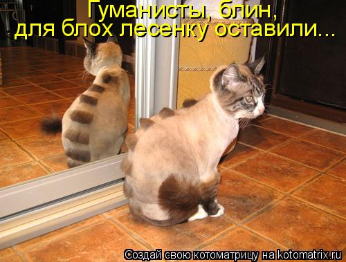 Под полубокс пожалуйста