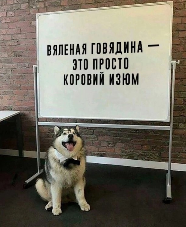 Так себе картинки 11.04.23