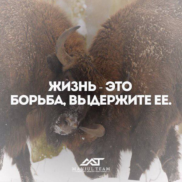 Победная поступь идиотизма по планете – том 13