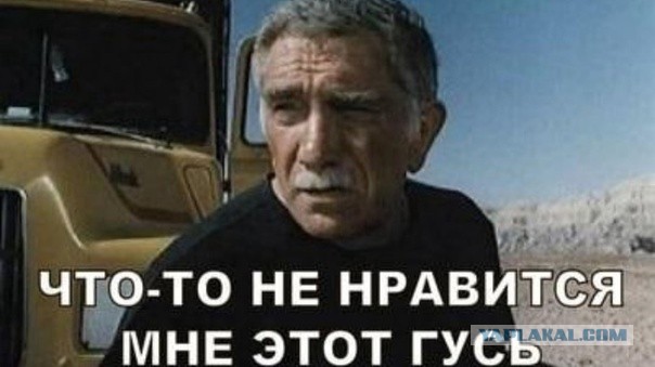 Самая подозрительная обезьяна