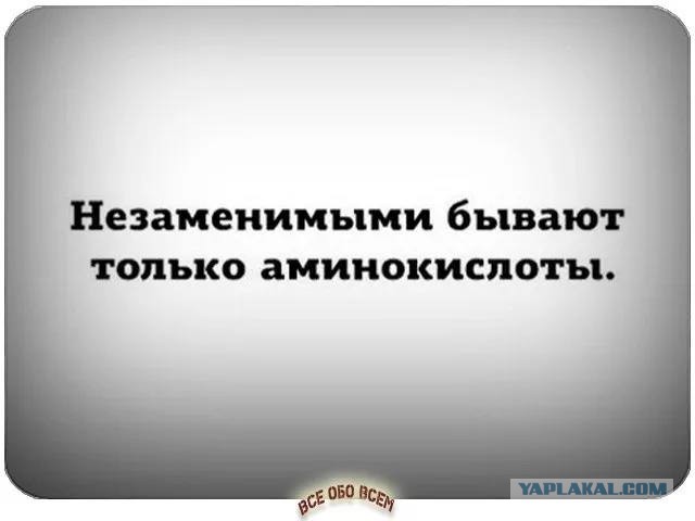 Без врага жизнь скучна, а с врагом - интересна