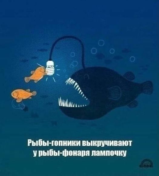 Весёлый полтишок 22.10.23