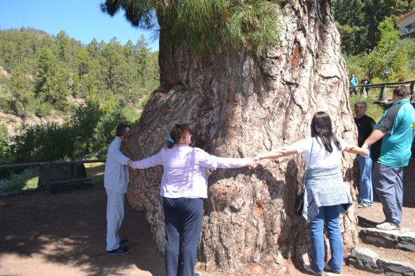 Хочу дачу на канарах!