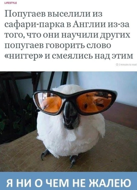 Среда пришла - неделя прошла, дорогие деграданты