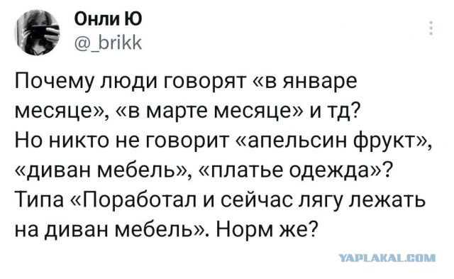 Тлидцать тли от 8 февраля