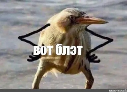 Заблудившаяся выпь