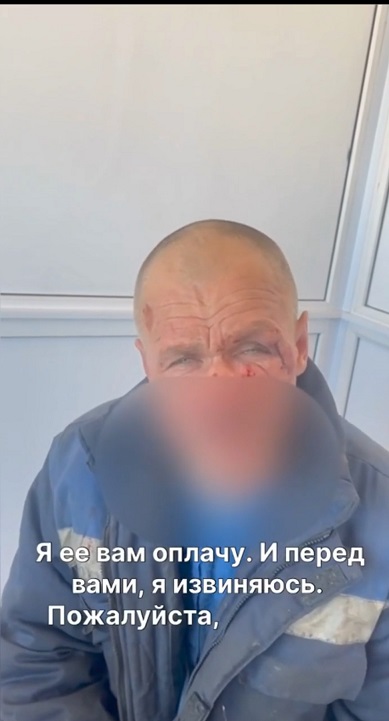 Владелец питбуля достал весь город