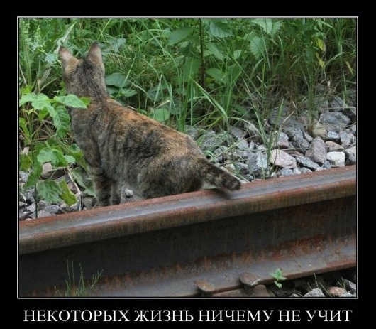 Что бывает с теми, кому больше всех надо.