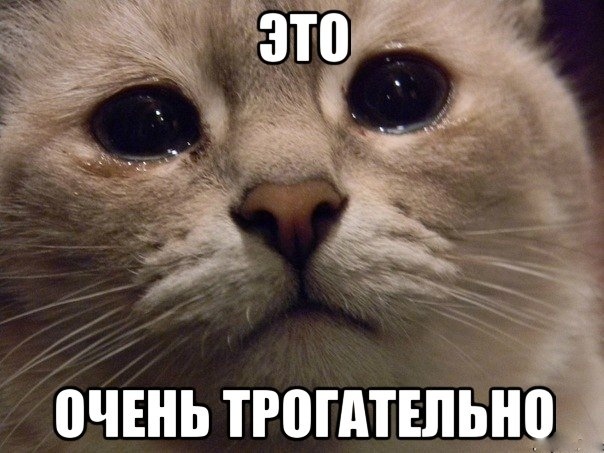 Любовь и рыбы