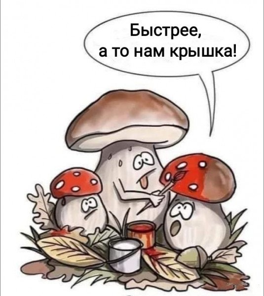 Так себе картинки 22.07.24