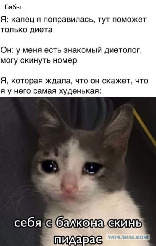 Веселые картинки в последний рабочий день уходящего года (28.12)