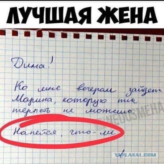 Картинки не для всех