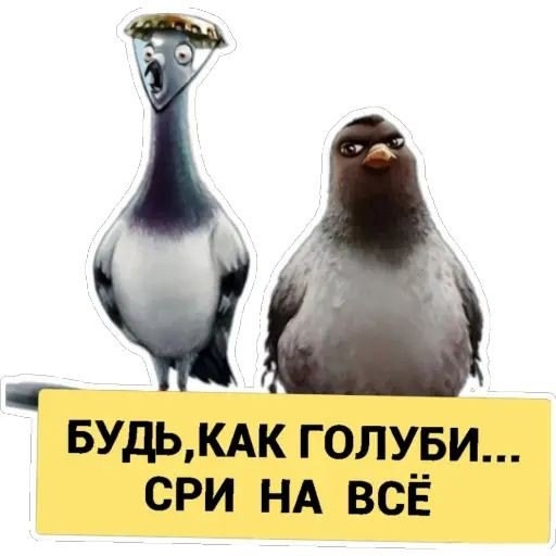 Так себе картинки 24.02.25