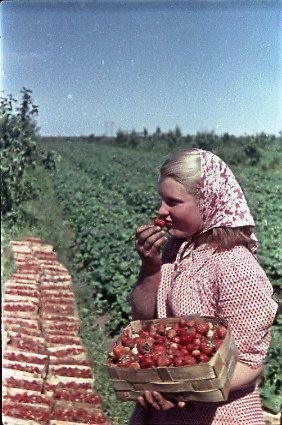 Фотографии из прошлого нашей страны – 93