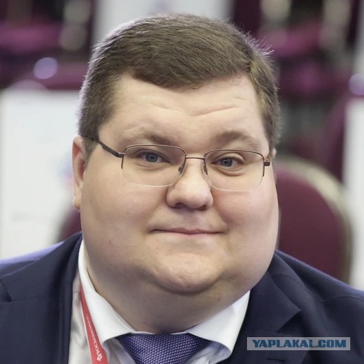 Депутат Госдумы Ирина Филатова объявила, что россияне с лишним весом — главные виновники экономического упадка страны
