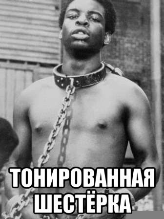 Разбавим унылое воскресенье отборной дичью