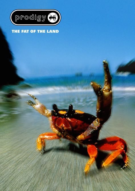 35 лет группе The Prodigy
