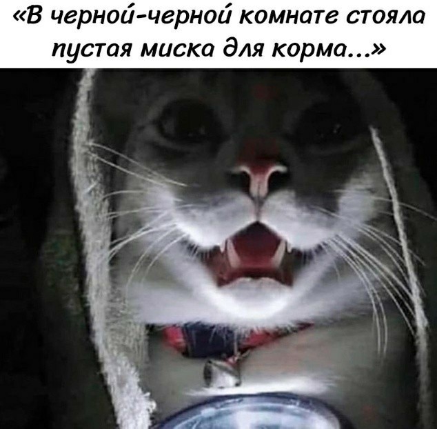 Картинки для деградации 66 (разной степени свежести)