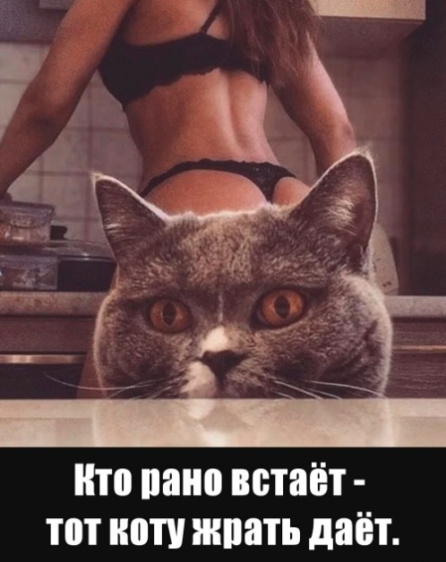 Картинки для деградации 73 (разной степени свежести)