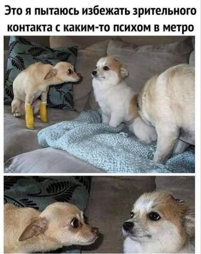 Картинки для деградации 80 (разной степени свжести)