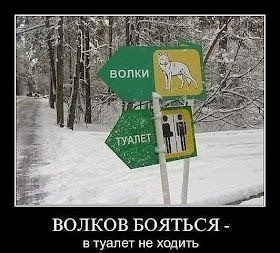 Воскресные картинки