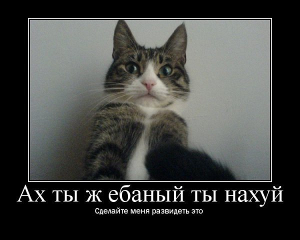 Сначала я подумал, что это ИИ. Нет не ИИ.