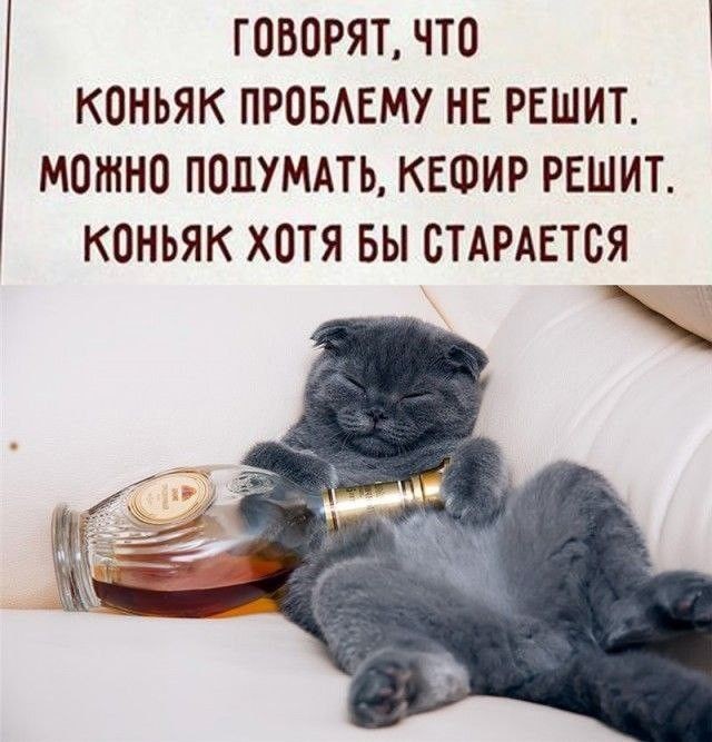 Веселые картинки в понедельник (13.04)