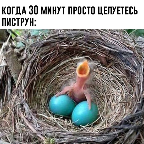 Картинки для деградации 209 (разной степени свежести)