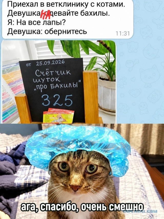 Так себе картинки 27.09.26