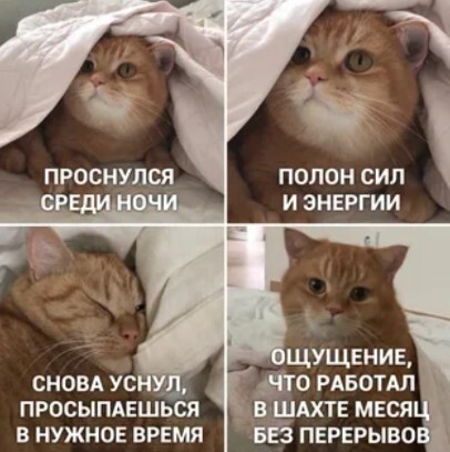 Картинки для деградации 297 (разной степени свежести)