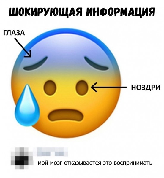Веселые картинки в пятницу (30.10)
