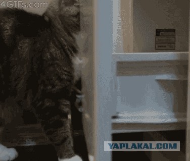 Отстаньте от меня все