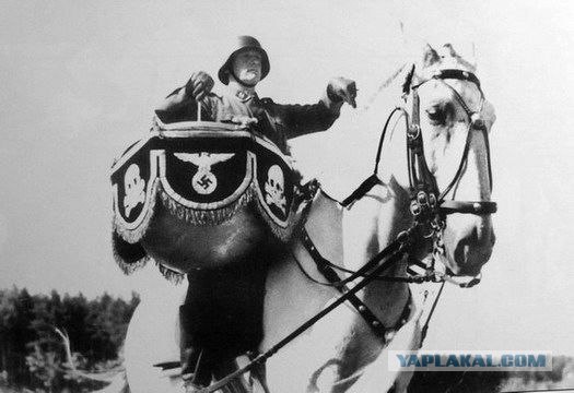 Фотографии второй мировой, многие цветные (фото)