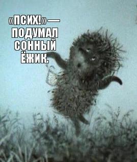 11 самых популярных фотомемов в интернете