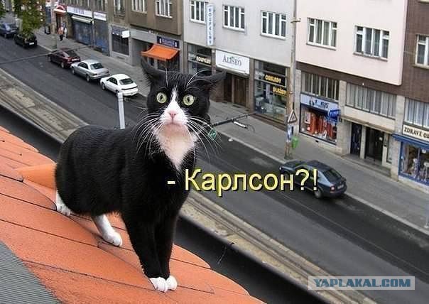 Тема для юмора