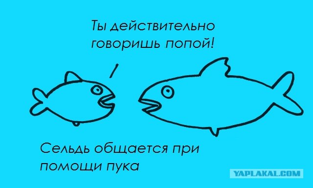Забавные минифакты в картинках