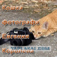 Фотограф с тремя восклицательными знаками