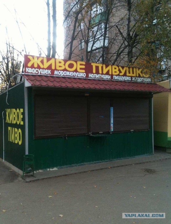 Подборка картинок