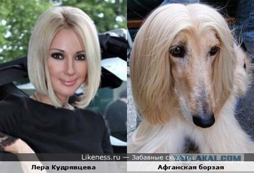 Картинки