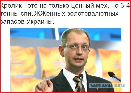 Мыздобулы в картинках