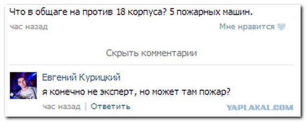 Смешные комментарии из социальных сетей