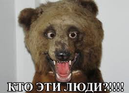 Ужасы и приколы из соцсетей