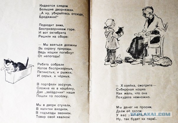 Руководство для  дачников кошатников